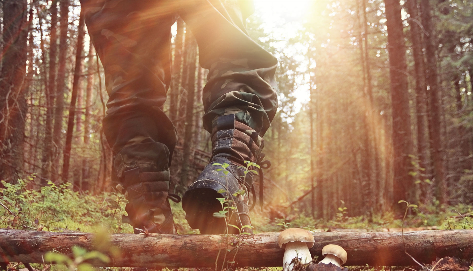 Formations-Premier-Soins-Secourisme-CHASSE-PLEIN-AIR