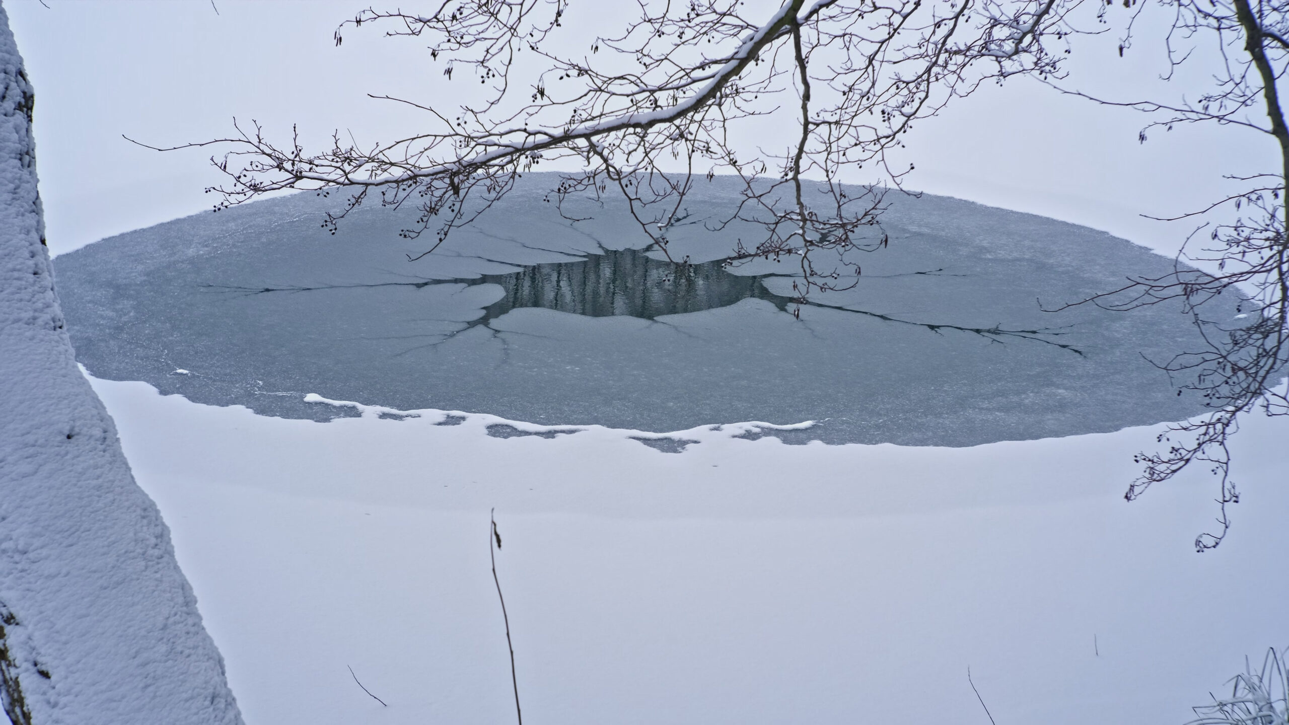 L’hypothermie